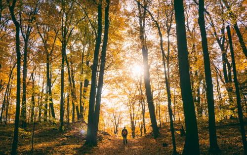 Marche en Sa présence cet automne Marche en Sa présence cet automne